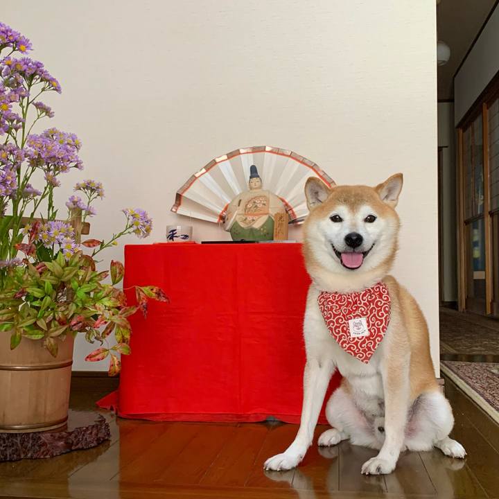 D95c8300 6055 49c2 9b73 32b206055b10 1666346206680