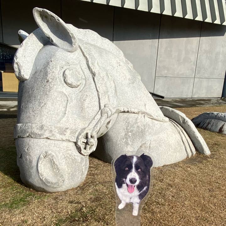 D95cadbf c070 4257 8b48 3d65afaab071 1765953740408