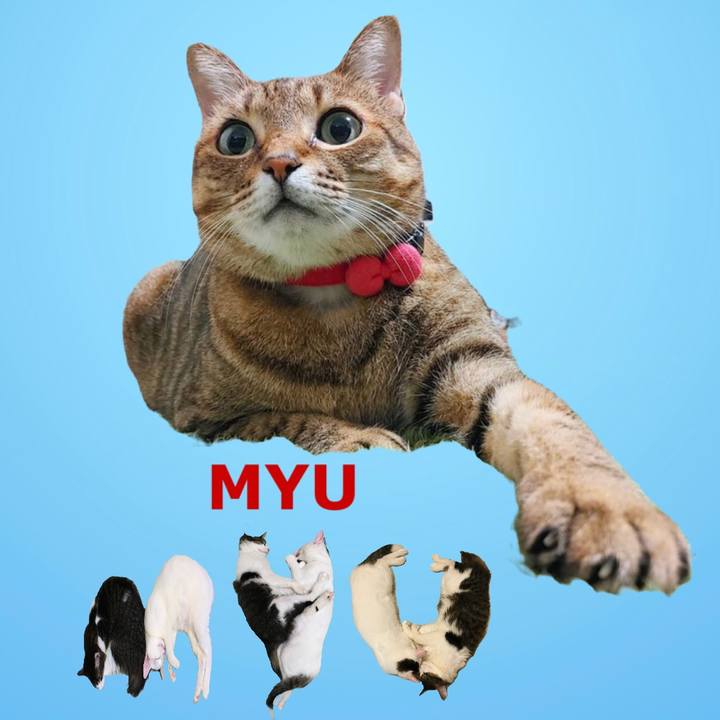 D95cb65b 3fdf 4f1c 88c3 6d320661b46f 1669763734535