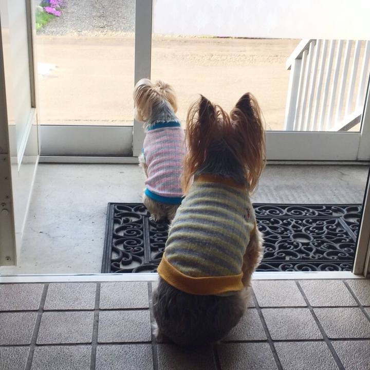 D95cd38f 1b3e 4e64 aa73 fecb607dff09 1525911140679