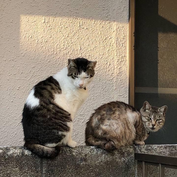 D95d188d 8cff 4dac a4ee 8cb68f17d78b 1552685343252