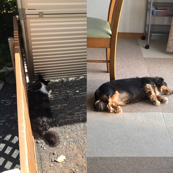 D95d19e9 4695 478d 89ba 8d1f0ed91583 1538969022254