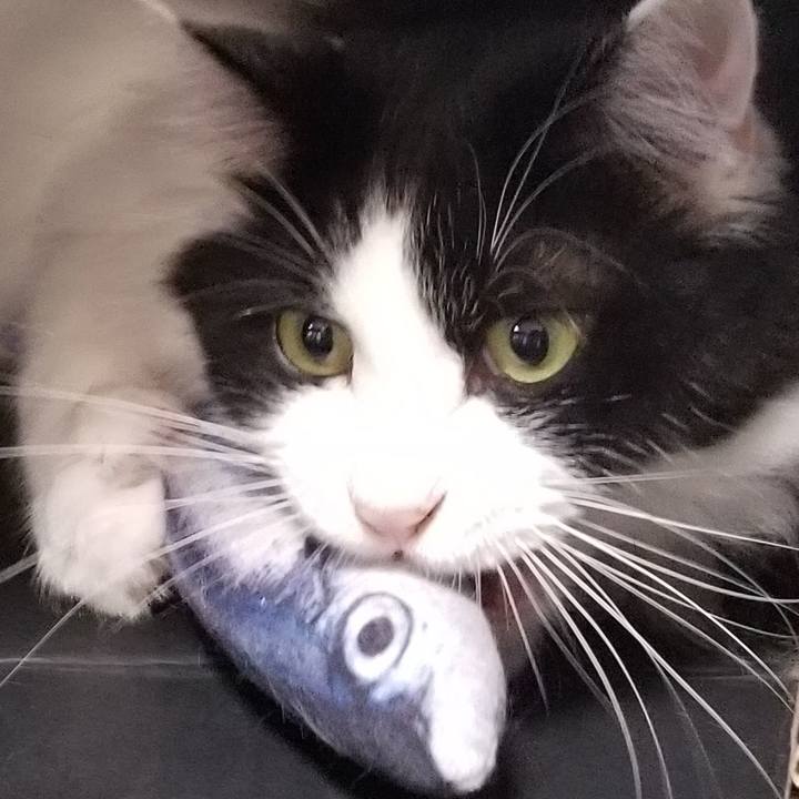 D95d2a68 18e7 4f5b b7be eab39ce4cdd8 1564193713024