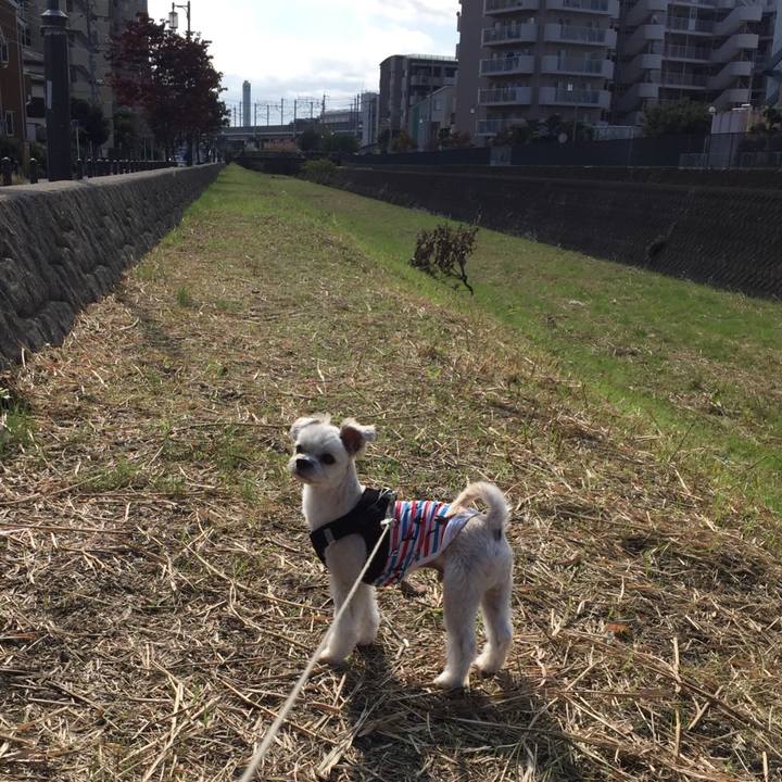 D95d66e0 f657 40bf 83a9 b8f50f2499cb 1540704482192