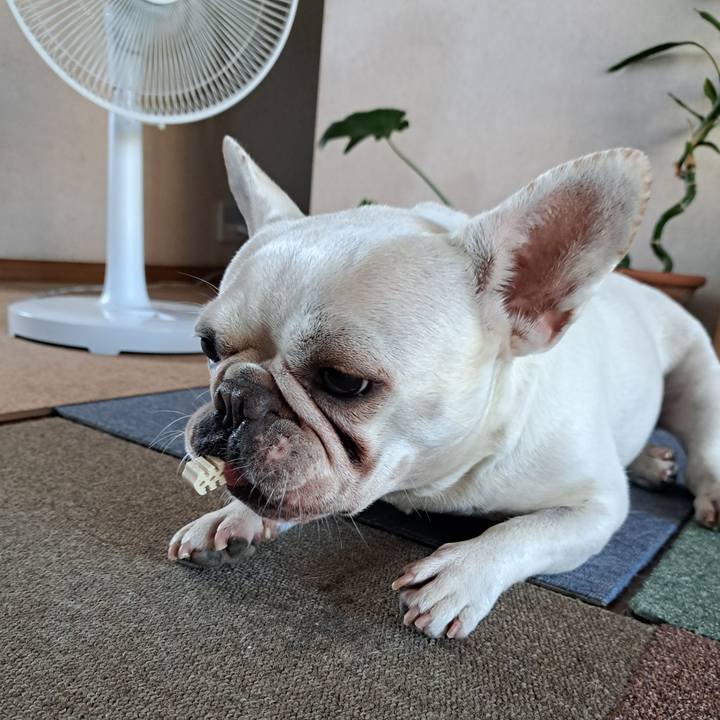 D95d79aa 3410 4b72 837d 5d1a55617f5b 1691189686654