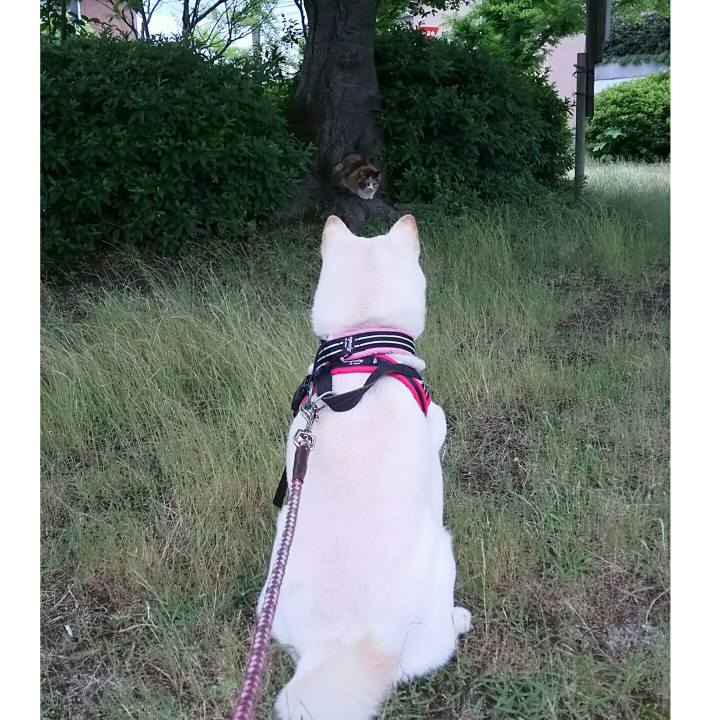 D95d9db5 d7bd 43cb 94d8 e9f6df296d26 1530092687442