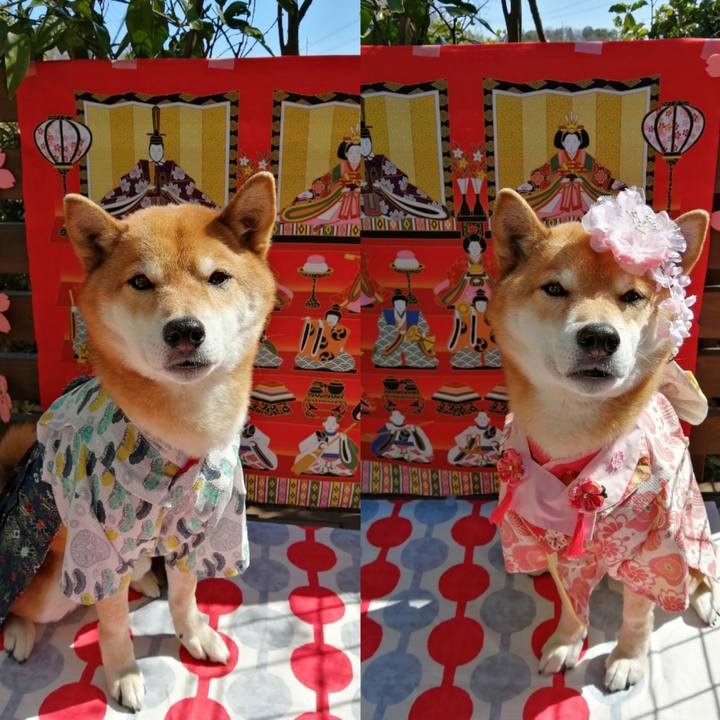 D95dc136 7bff 4cc3 a2aa d9fdf3977753 1614745969104