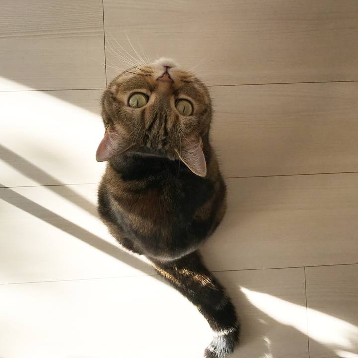 D95dce3b b774 4932 acce 09b1605cd991 1518574706412