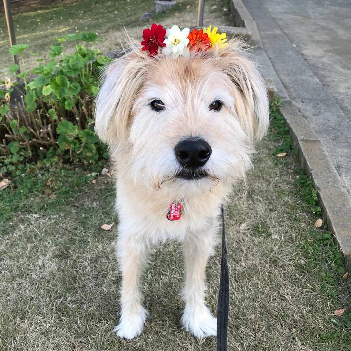 D95dcf72 5a04 47af bc9e 68a442e2869a 1605260790879