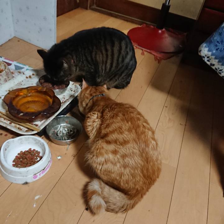 D95dfe48 6659 4324 9643 364f93f0e09e 1644573973309