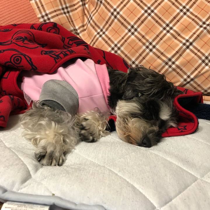 D95e4256 6959 4bc3 9c7c f5b6f89a3a51 1635084176872