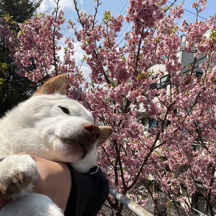 D95e5640 33ba 4999 b149 96b9989d6c5b 1647253742872