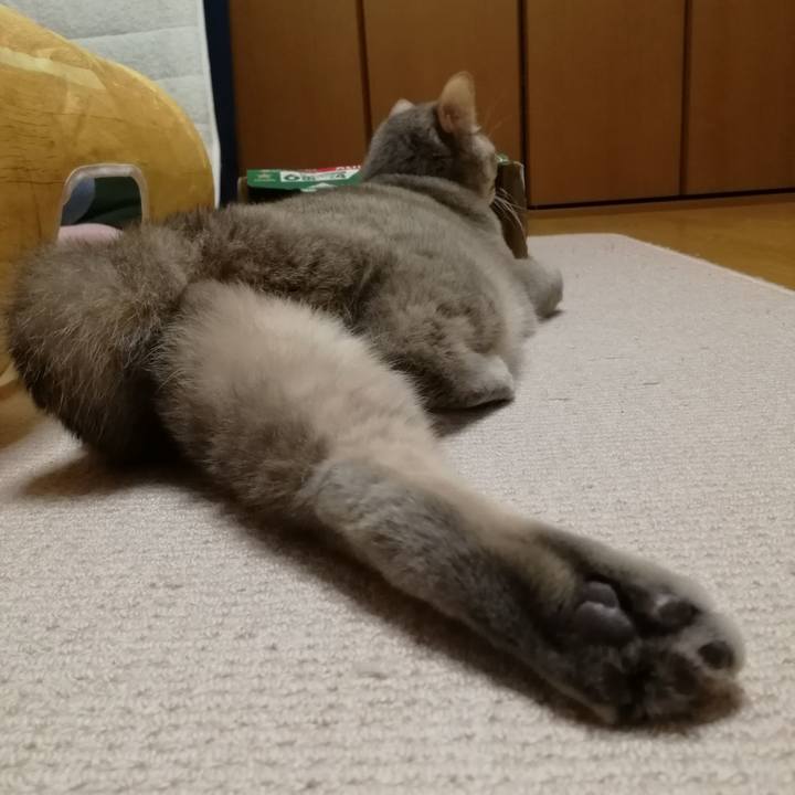 D95e6370 e314 461d 8693 cf37cff60000 1549682973570