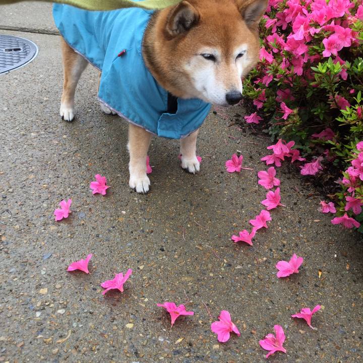 D95ec0ca 2038 4709 a0d4 681d1f26d93c 1621415022972