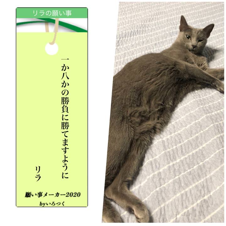 D95f2c06 9b91 4240 b3e0 bd285a01ca17 1594079386093