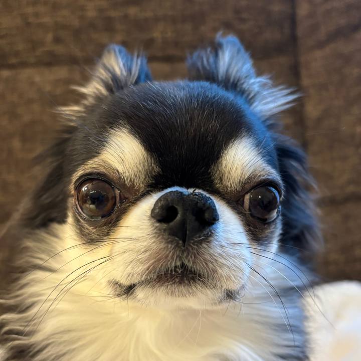 D95f3ea6 d15b 49f1 877f 99114325df06 1735512764091