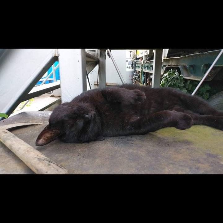 D95f4723 02af 49cd ad17 0a75c1abbbb5 1629766147470