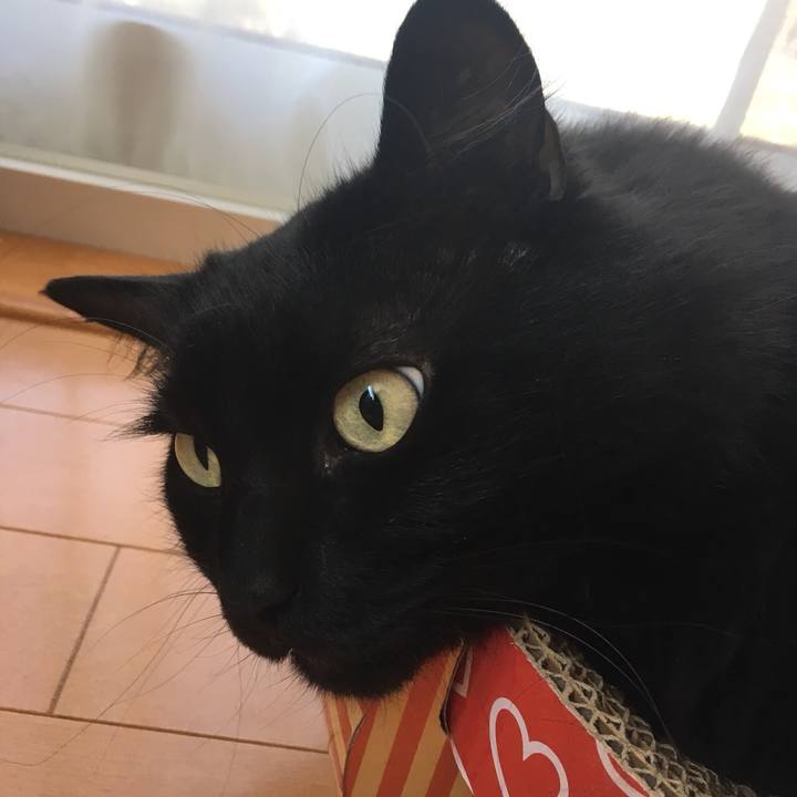 D95f485a 7258 4dd2 b513 7d730d5958e7 1528242963285