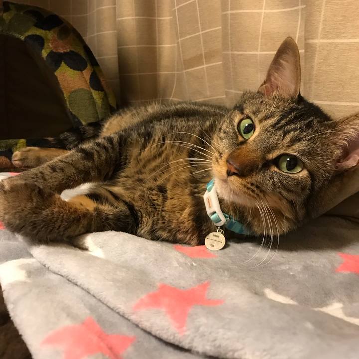 D95f561f fd45 4de3 bcdf c7128cfc5b32 1541595946318