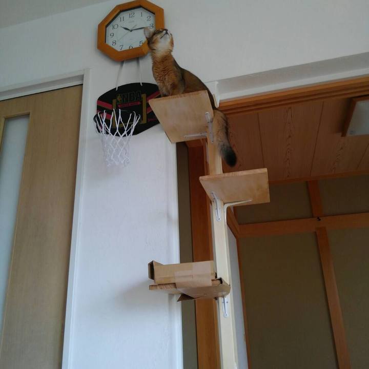 D95f5f89 54ec 4325 b009 73350103e958 1573213542382