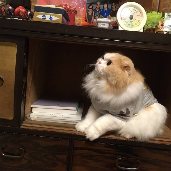 D95f7347 5ceb 4a96 8804 183a0d0ac9a7 1549377599130