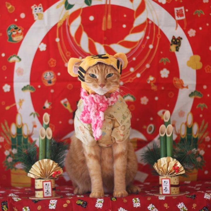 D95fe3ee f7ff 4a64 a12d 43d75e7e0df3 1640964733188