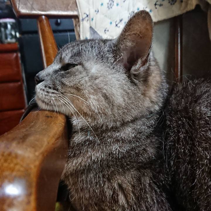 D9602470 db1c 4e04 b6a6 19b7b8a51970 1565646027834