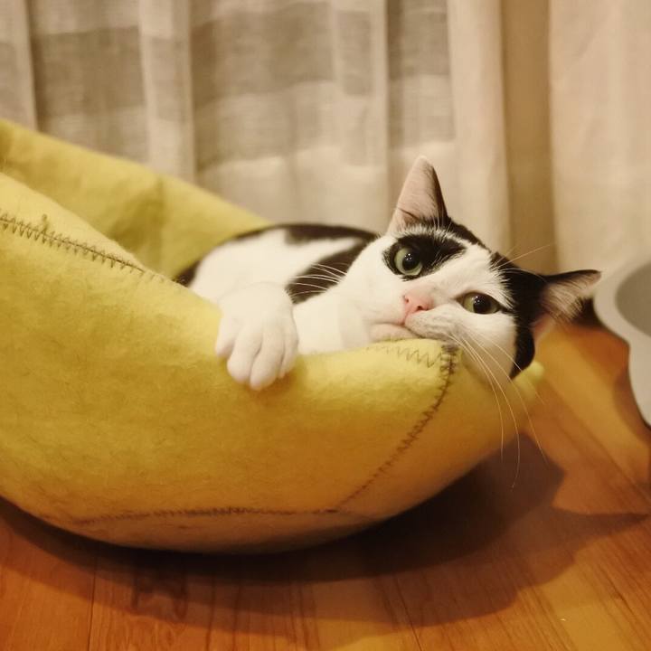 D9603c68 a4c0 4665 a2e7 e55c38580998 1561464280664