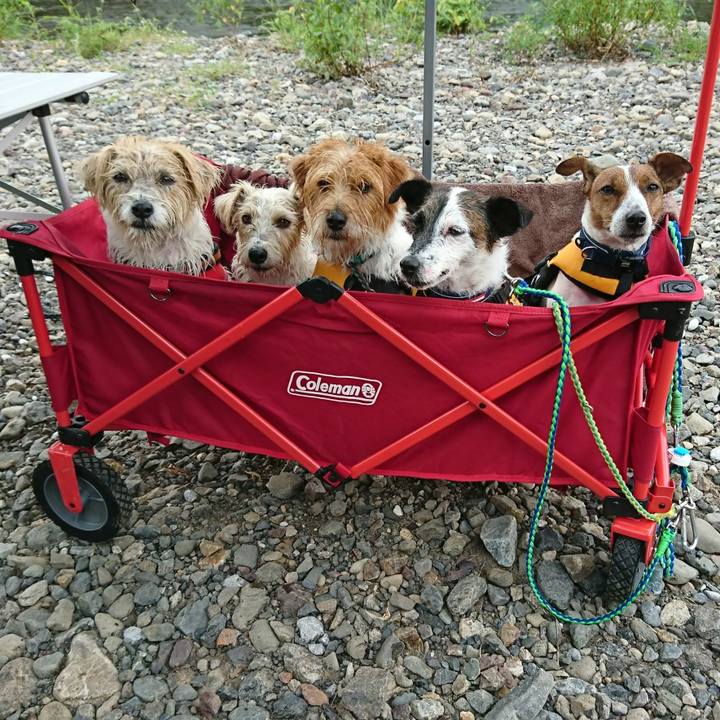 D96040d9 75ff 4172 b3be 8971f424830f 1597392594539