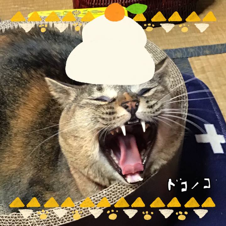 D9605322 d3e7 43d7 a06d b224c27293ba 1704188385342