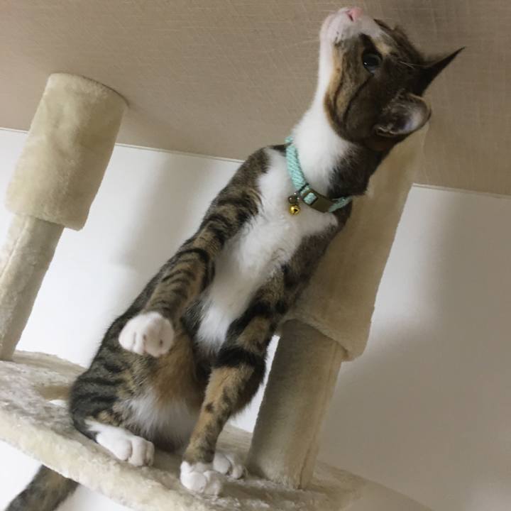 D96073a0 3996 4906 8884 aad64adbac6c 1695215021025