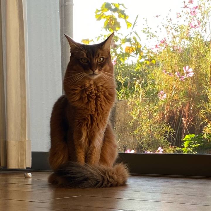 D9608651 9557 4341 bb0a 7a054774caff 1666738598049