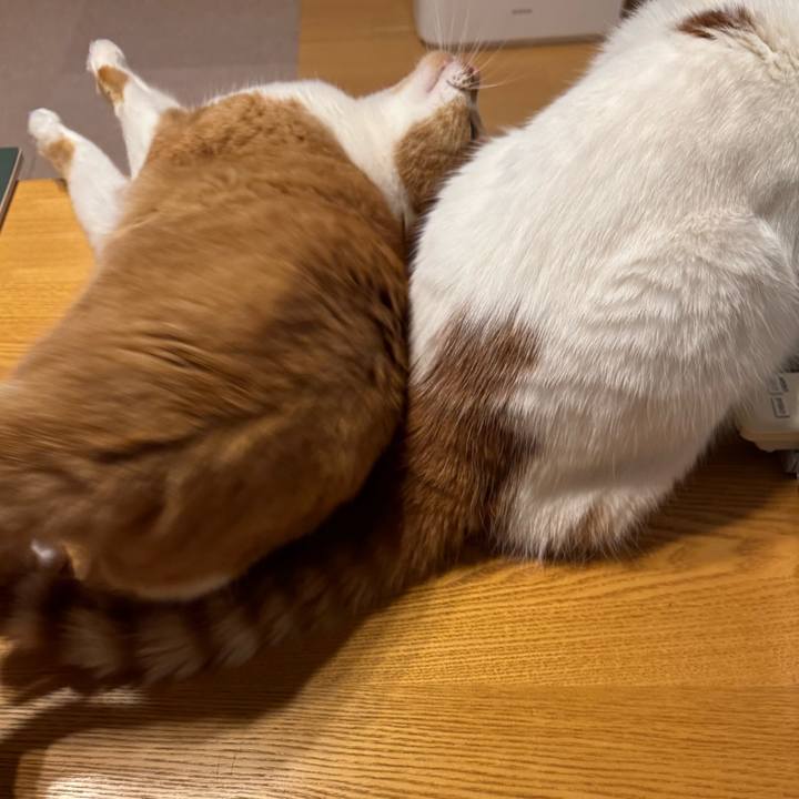 D9609e36 47e6 4d62 8e5a 6edab8dbfe65 1765282630783