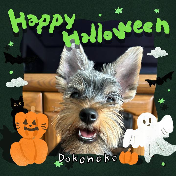 D960a18d 7e24 4740 9220 e699f0e571ab 1729258369204