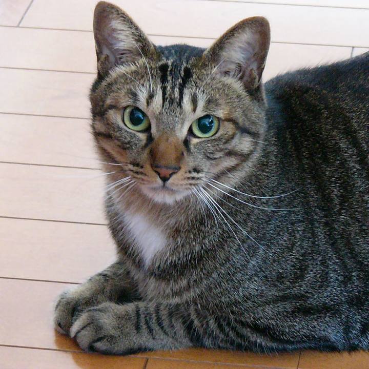 D960afa1 02bf 46a4 a4bc 435ea6517cde 1549285550184