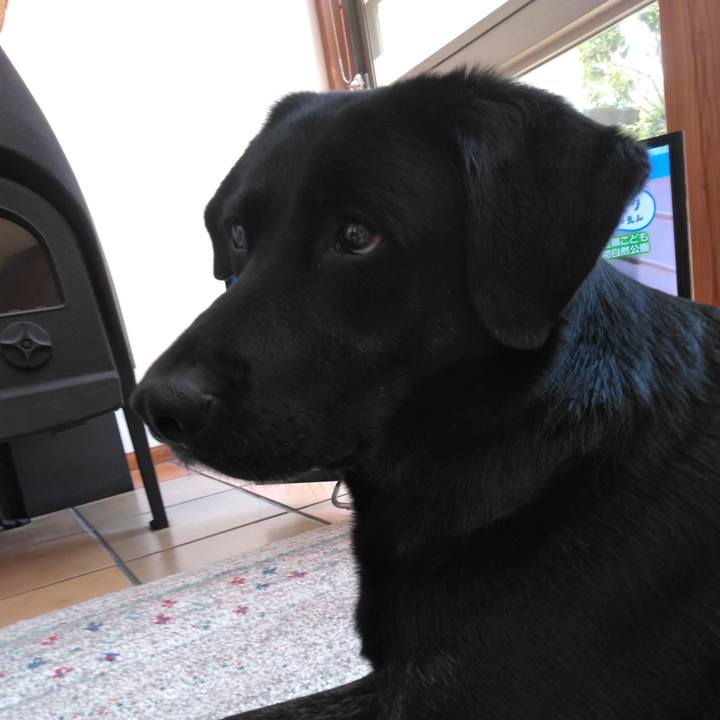 D960b1fd ad82 4594 b0bd 5df6245a01c3 1589078031759