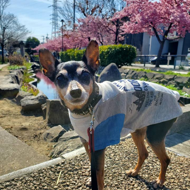 D960d394 9f5a 400a b789 83cb504009db 1677913246334