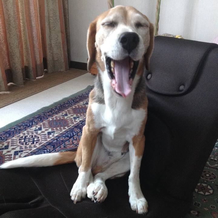 D960de2a e81b 461a aa7d 0a1674e32bd7 1631716387300