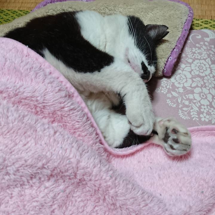 D960fb59 6fd3 4172 a293 d8c7d93a6678 1635942103576