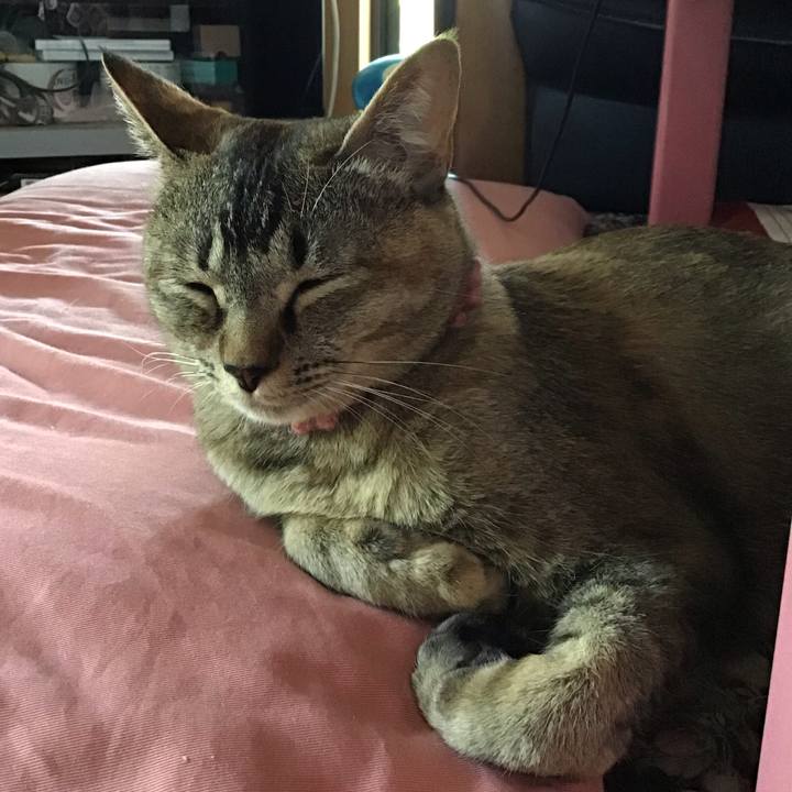 D9610998 f375 44f8 b106 29da0b3c9d1b 1592282215750