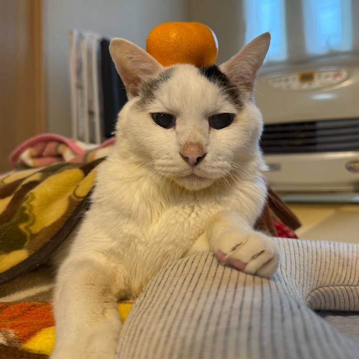 D96115cc c5a1 4c5e 9a97 19e0929bc53c 1767252387222