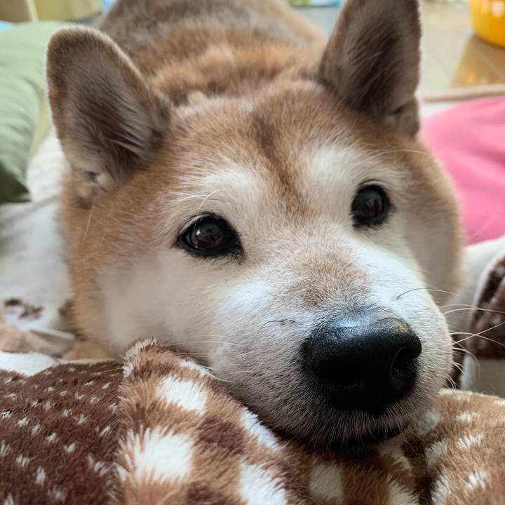 D9617424 e952 486f 811a 482d738f80fe 1573962272564