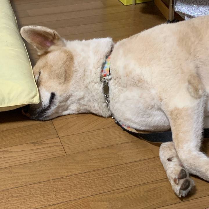 D961952d 6baf 48a8 91f8 7d686f89f4ac 1568299648745