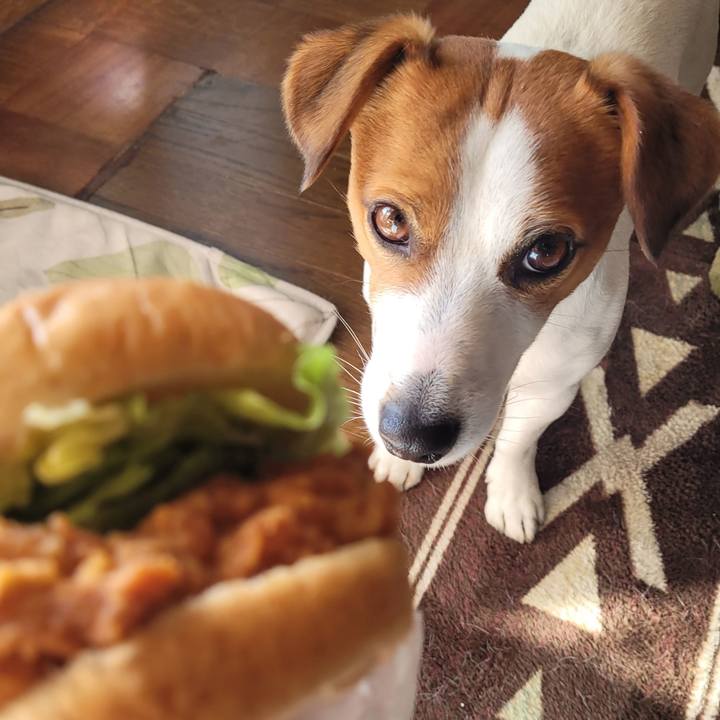 D961db26 9ce7 4539 8300 44085b2f1dc2 1674201127815