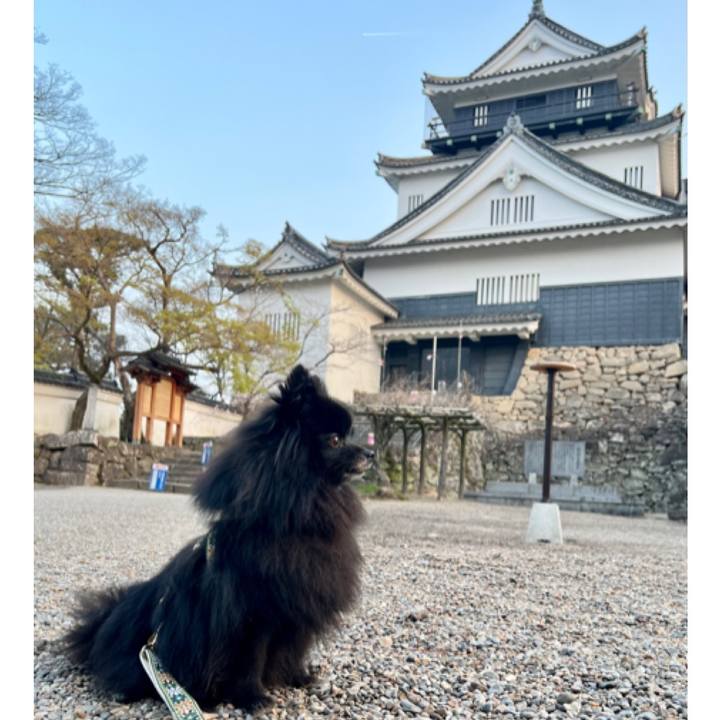 D961f891 e6b3 4099 a163 ab1438eb8f7d 1774747097839