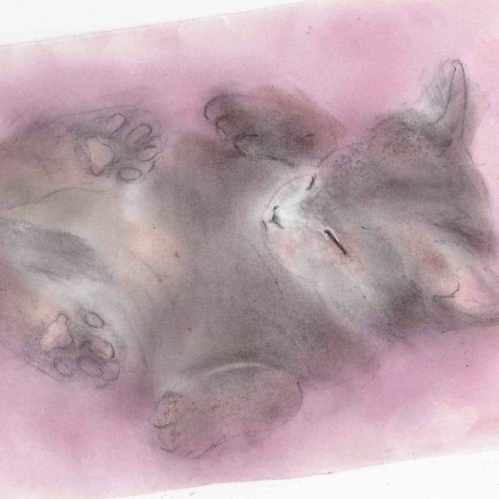 D9620166 9fce 4302 a88e 5c3be1c31bd2 1577253656863