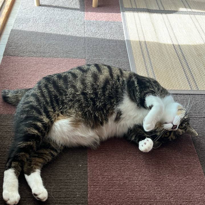 D96211d3 f820 4da9 b7b2 e9c905435055 1758582866188