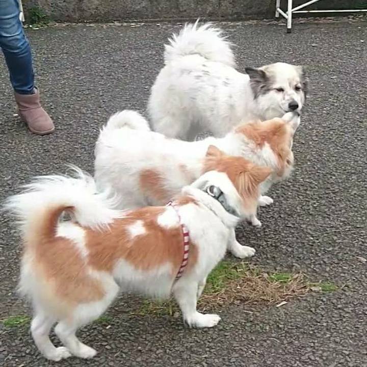 D962230a ebd7 4426 a1b5 a49b73d43d33 1552395453479