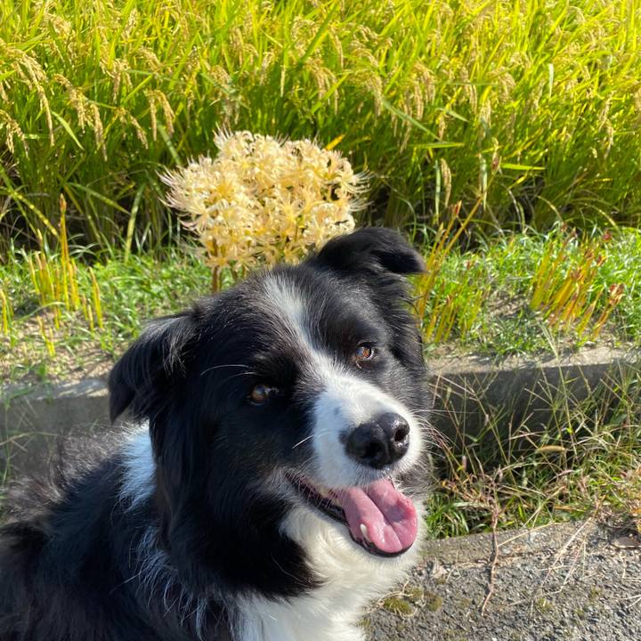 D9623357 9441 493c b7d0 0af9b40fde12 1725273215098