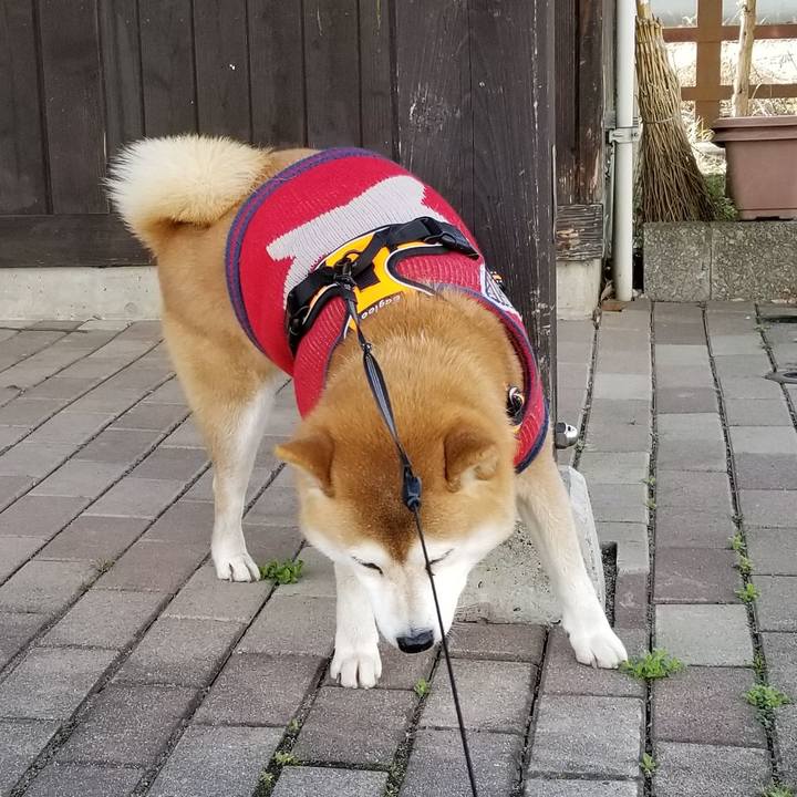 D9625830 b671 48a7 8396 c2c57363b497 1583907270560